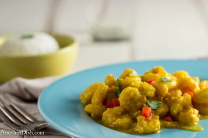 Indonesian_Shrimp_Curry1 (1 of 1)