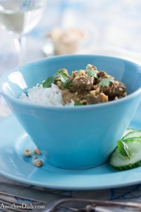 Malaysian_Lamb_Curry2 (1 of 1)