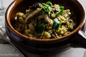 Risotto_ai_Funghi2 (1 of 1)